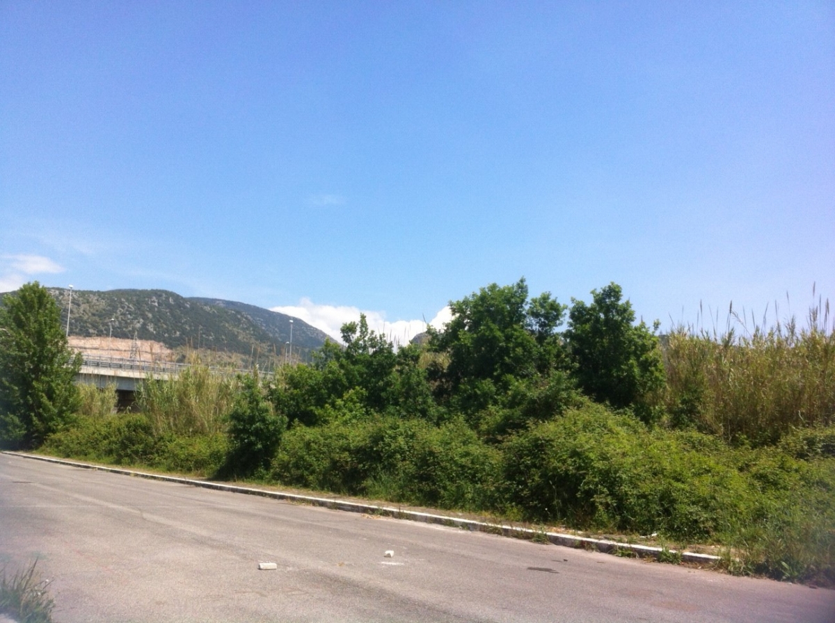 Il terreno abbandonato