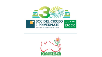 logo-BCC.png